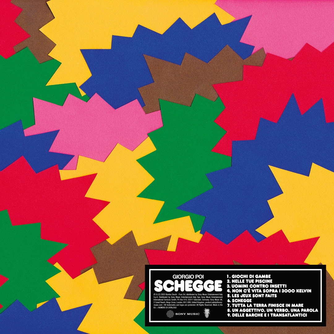 Cover di Schegge